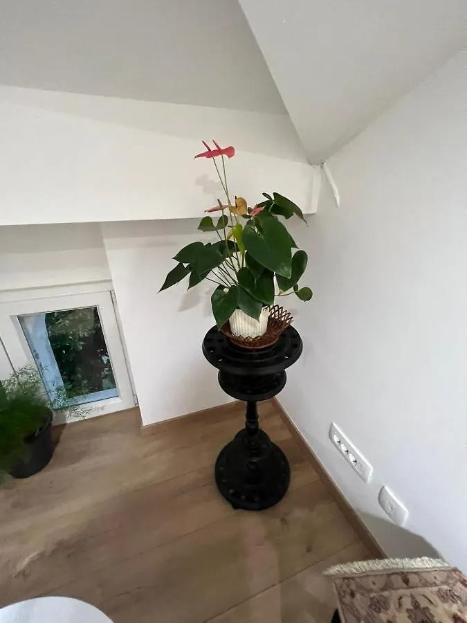 Mt70 Apartment Lovran